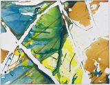 Flash by Dona Nelson contemporary artwork works on paper