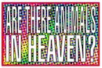 Untitled Are there animals in heaven by Barbara Kruger contemporary artwork Photography