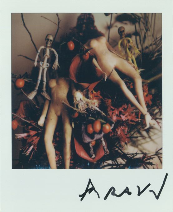 Untitled by Nobuyoshi Araki contemporary artwork Photography