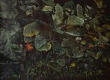 Pestwurz und Lowenzahn by Helena Parada Kim contemporary artwork painting