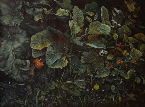 Pestwurz und Lowenzahn by Helena Parada Kim contemporary artwork Painting