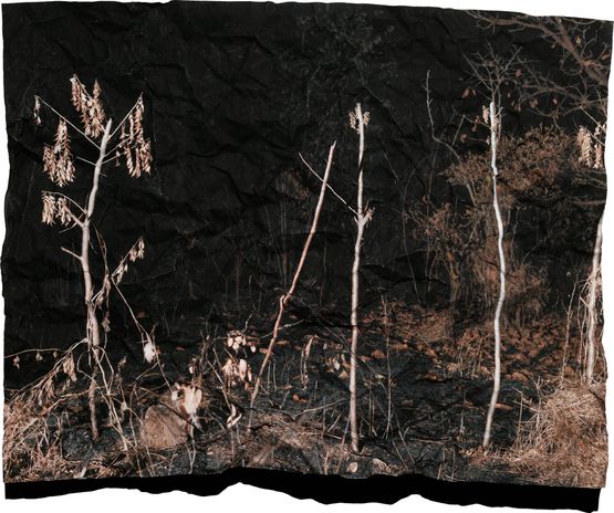 Manifest XV by Tenzing Dakpa contemporary artwork Photography