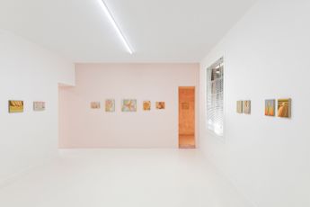 Contemporary art exhibition Tao Siqi Tender Thorns at Capsule Shanghai China
