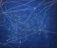 Signal_Submarine Networks 07 Australia by Tan Mu contemporary artwork Painting
