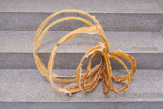 slinky by Kyungeun Son contemporary artwork Sculpture
