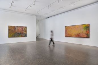 Contemporary art exhibition Emily Kam Kngwarray My Country at Pace Gallery London United Kingdom