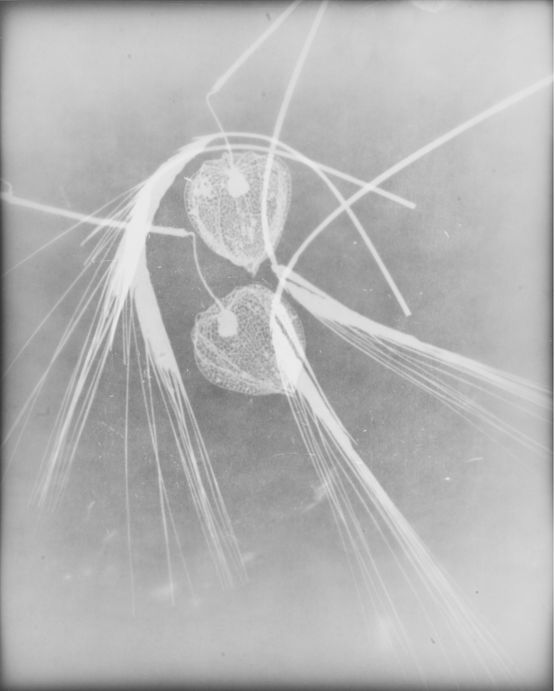 Untitled by The Estate Of Anwar Jalal Shemza contemporary artwork Photography