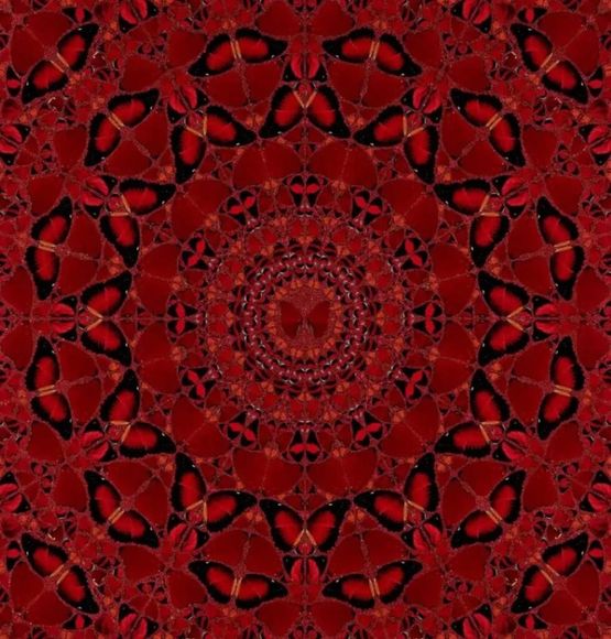 The Empresses H10-4 Suiko by Damien Hirst contemporary artwork Print