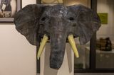 Asian elephant by Sabina Jafar contemporary artwork sculpture