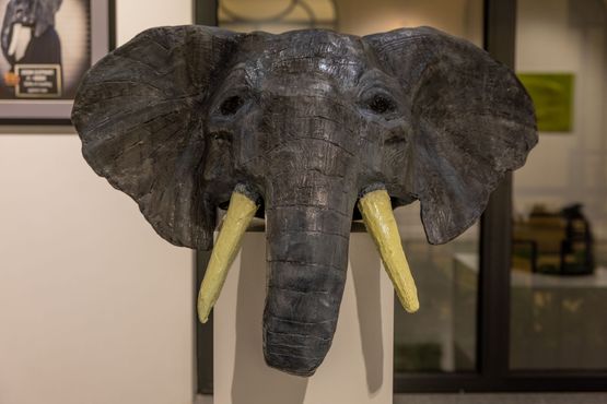 Asian elephant by Sabina Jafar contemporary artwork Sculpture