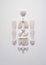 Lorgane Miracle by Prune Nourry contemporary artwork sculpture