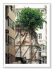 23 Temple Street Hong Kong by Romain Jacquet-Lagreze contemporary artwork Photography