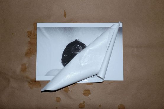 From the series Soaked - I by Zeynep Kayan contemporary artwork Photography