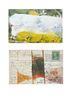 You a Lemon White Pull by Tacita Dean contemporary artwork Painting