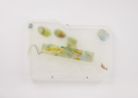 Softbox aged by Tianyi Sun contemporary artwork Mixed Media