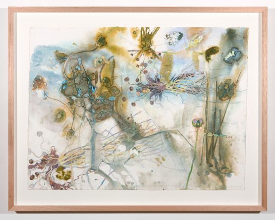 Buwakul Rakay and Nymphaea Lily by John Wolseley contemporary artwork Painting