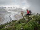Raluca Collecting Butterflies for the Worldwide Painted Lady Migration Project Switzerland by Lucas Foglia contemporary artwork Print