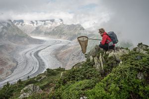 Lucas Foglia