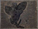 Hundred Layers of Ink For Bada 12 by Yang Jiechang contemporary artwork painting