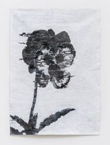Skullflower by Gabriel Vormstein contemporary artwork drawing painting works on paper