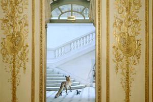 Karen Knorr