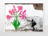 Boophone Disticha by Robin Rhode contemporary artwork photography