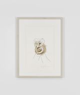 Senza titolo by Giuseppe Penone contemporary artwork works on paper drawing
