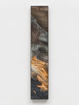 Shared Fire by Klara Hosnedlova contemporary artwork mixed media