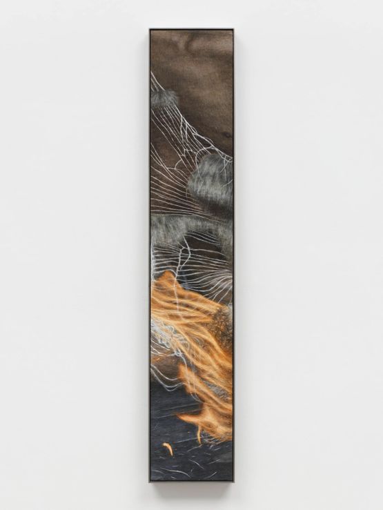 Shared Fire by Klara Hosnedlova contemporary artwork Mixed Media