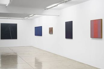 Contemporary art exhibition Group Exhibition Color Among Lines at Galeria Nara Roesler Sao Paulo Brazil