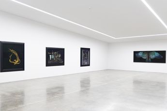 Contemporary art exhibition Fiona Pardington Greatest Misses at Starkwhite Auckland New Zealand
