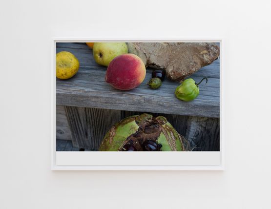 Peach alive by Wolfgang Tillmans contemporary artwork Works on Paper