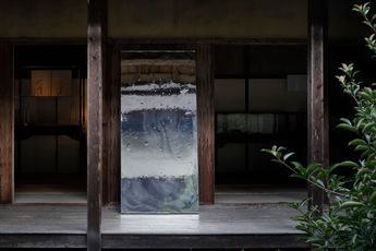 Carrie Yamaoka contemporary artist