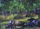 Ligne de Foi by James Coleman contemporary artwork moving image