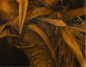 Palm Tree View 1 by Christopher Bassi contemporary artwork Painting