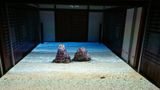 Tide 1884 by Wu Tien-Chang contemporary artwork painting works on paper sculpture photography print moving image