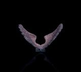 PURPLE WING I by Suzann Victor contemporary artwork sculpture