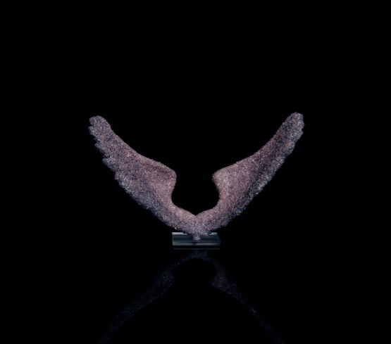 PURPLE WING I by Suzann Victor contemporary artwork Sculpture