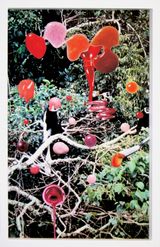 Sea and Pus Photograph of Monkey 2 by Teppei Kaneuji contemporary artwork mixed media