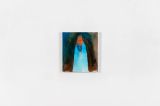 Amber Series - Human Form Objects 6 by Cui Xinming contemporary artwork painting