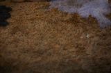 Miroirs 0 by Joelle Van Autreve contemporary artwork photography
