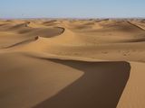 Painted Lady Butterfly Crossing Erg Chigaga Morocco by Lucas Foglia contemporary artwork print