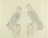 Presentation by Kiki Smith contemporary artwork drawing painting works on paper