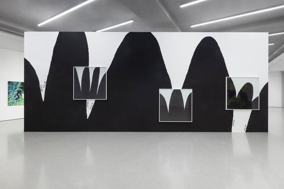 One Long Echo by Christine Sun Kim contemporary artwork Installation