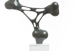 Driaan Claassen