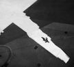 Arrow Hong Kong by Fan Ho contemporary artwork Photography