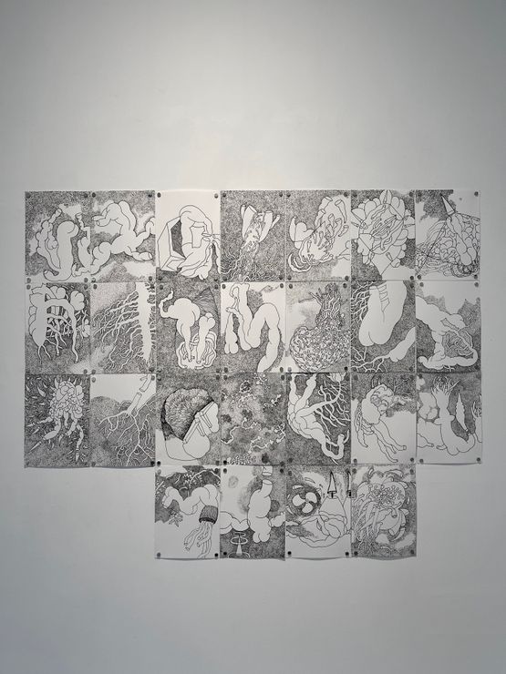 Diary of wounded flowers by Pakkiyarajah Pushpakanthan contemporary artwork Works on Paper