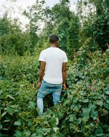 Luvo in the garden I by Lindokuhle Sobekwa contemporary artwork print