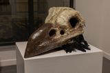 Raven by Sabina Jafar contemporary artwork sculpture