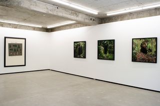 Jhana Millers contemporary art institution in